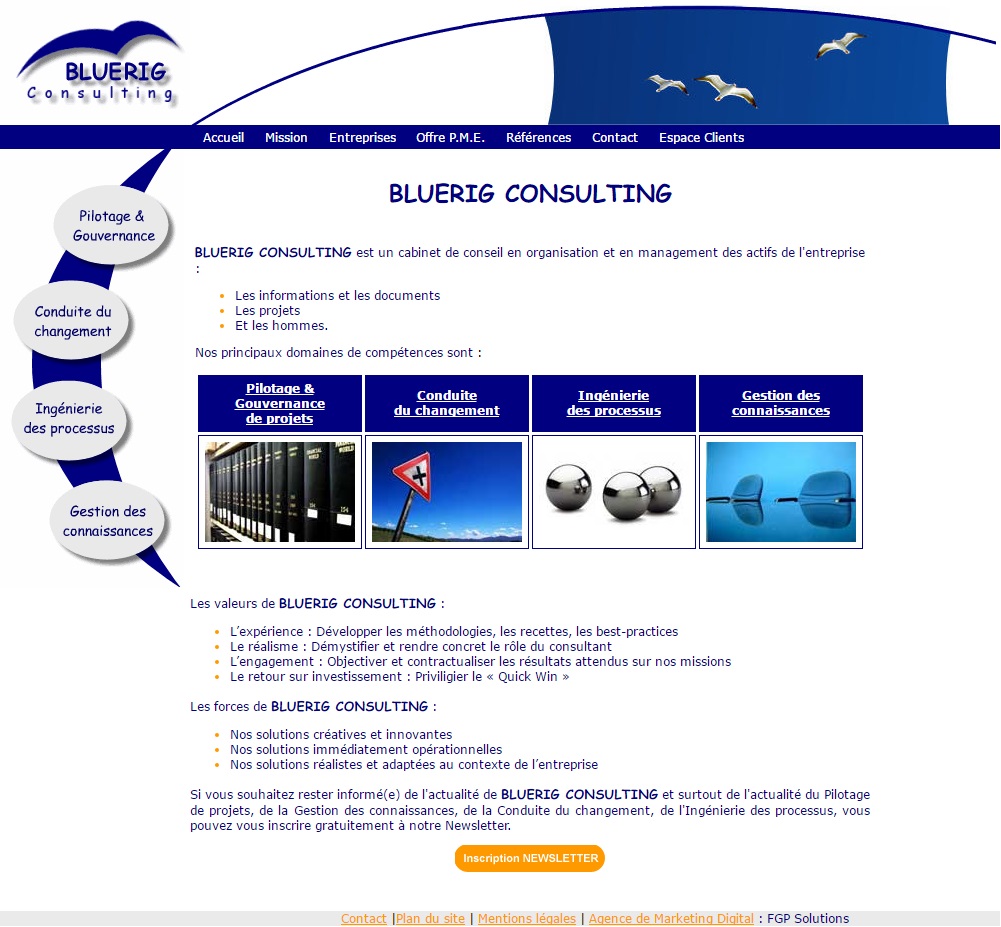 Bluerig Consulting confie son Marketing Internet à l'agence FGP Solutions