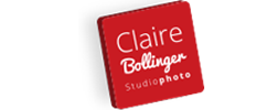 <p>Studio Claire Bollinger</p>