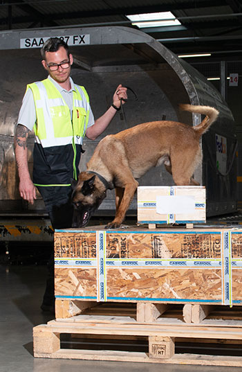 agent de sûreté aéroport