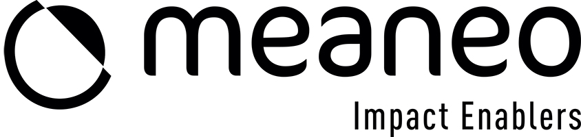Logo Meaneo Partners